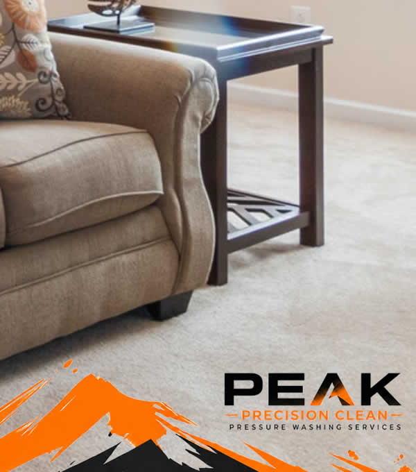 Professional Carpet Cleaning Services